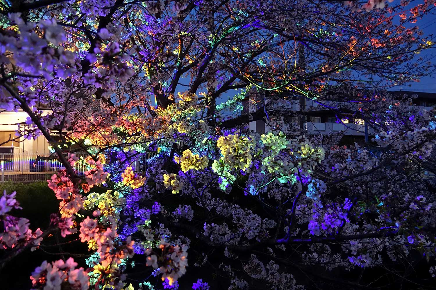 For Lighting Up Plants