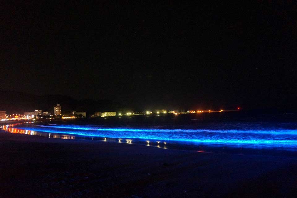Tourist Event Illumination