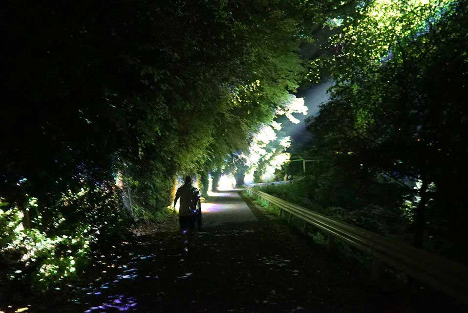 Tourist Event Illumination