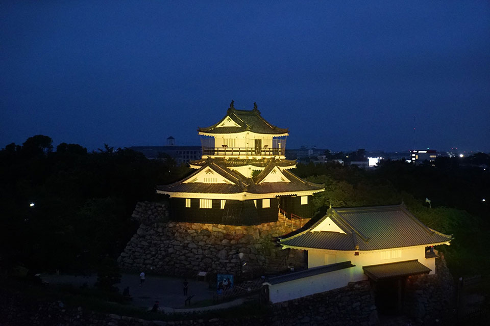 浜松城を遠距離からライトアップ