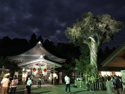 照明協力：御鎮座150年奉祝例大祭＠井伊谷宮