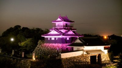 ピンク色にライトアップされた浜松城